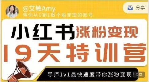 19天小红书涨粉变现特训营：快速提升粉丝、优化内容、实现盈利的全面训练计划